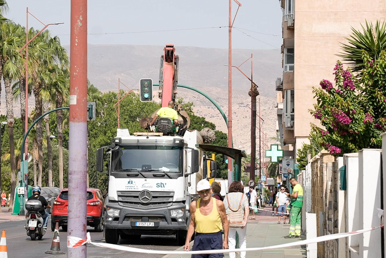 Completan la tala de palmeras de la avenida Cabo de Gata