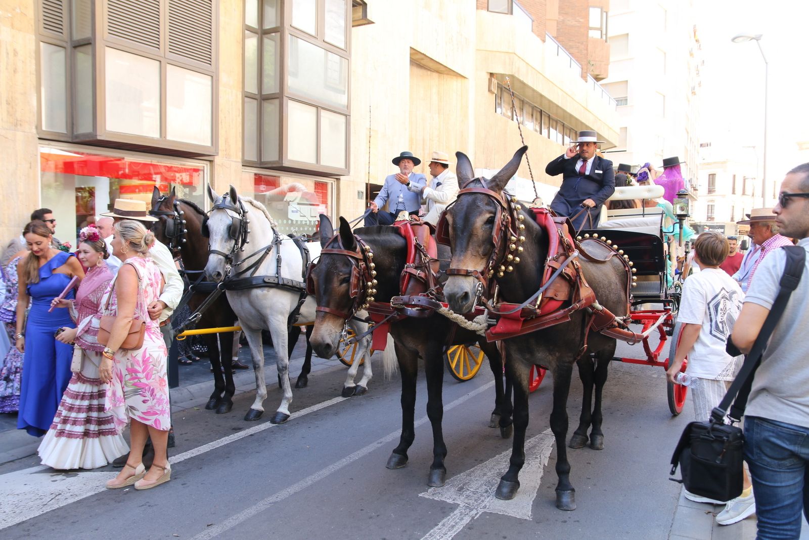 El paseo de caballos y carruajes de la Feria ha dado comienzo este miércoles.