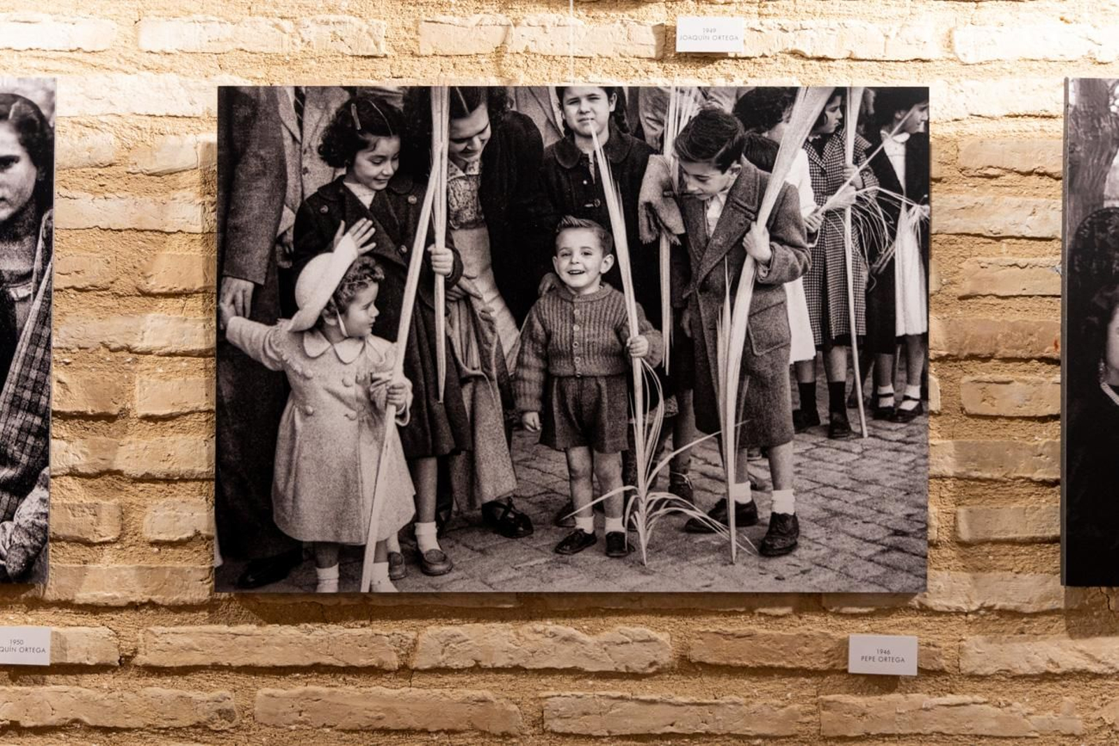 El legado fotográfico de los Ortega recoge los últimos 80 años de Semana Santa en Jaén