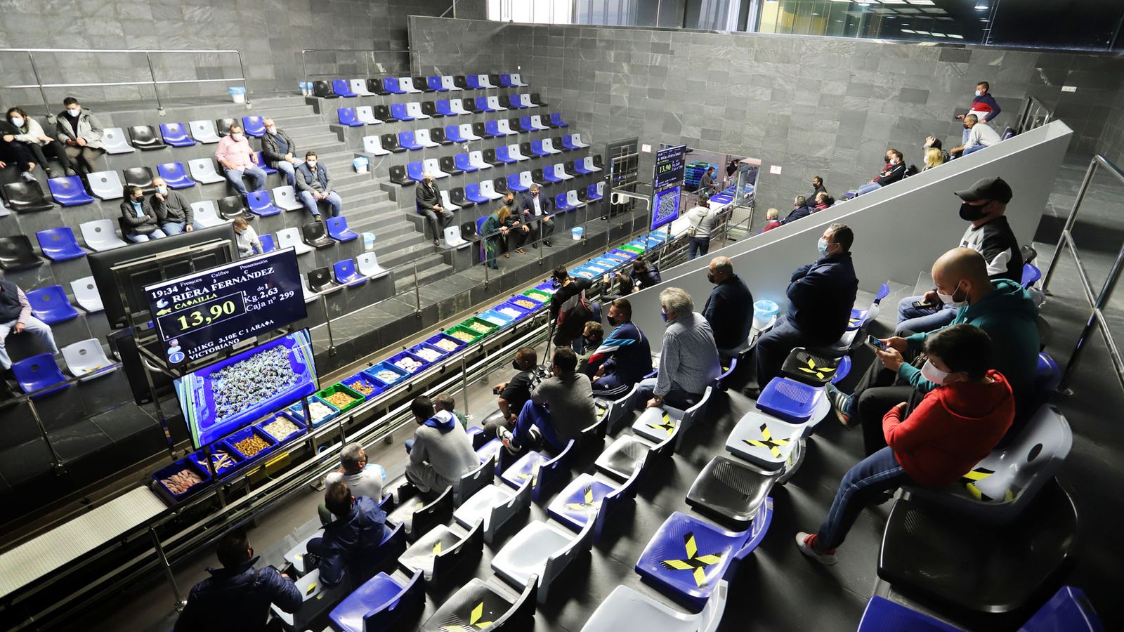 El anfiteatro para la subasta es uno de los atractivos de las nuevas instalaciones.