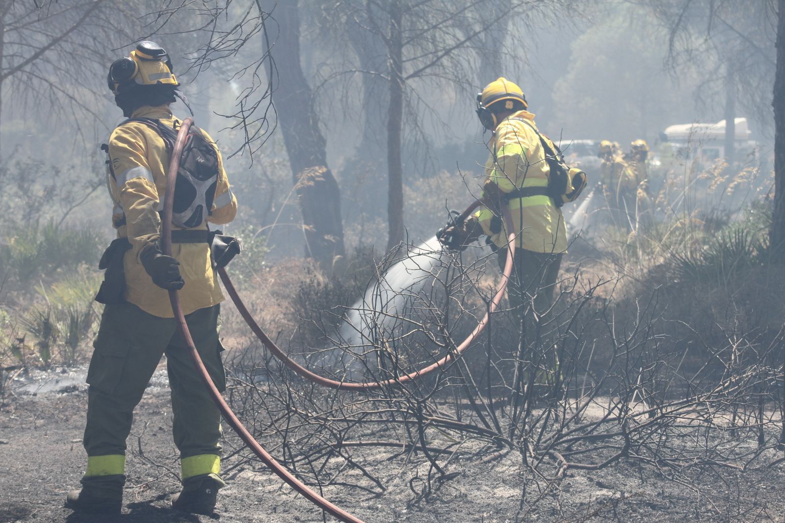 El incendio en el pinar de Roche, en imágenes