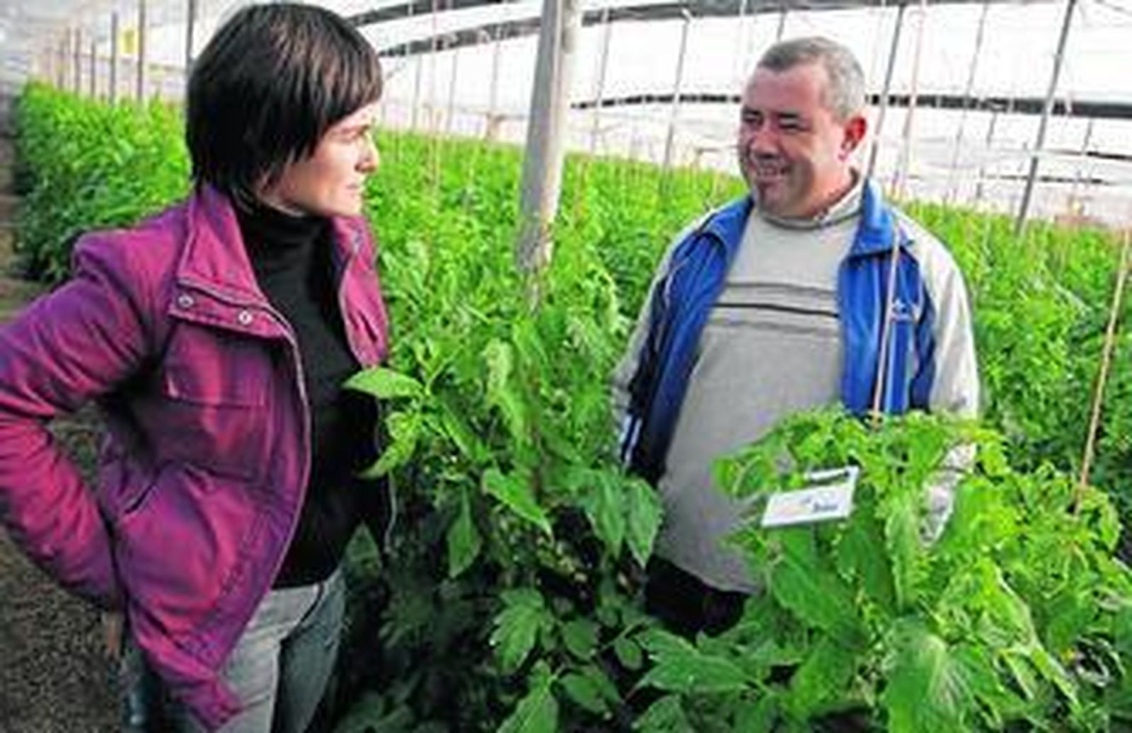 Ana Arévalo, con un agricultor del Poniente, que está usando Trichogramma con éxito.