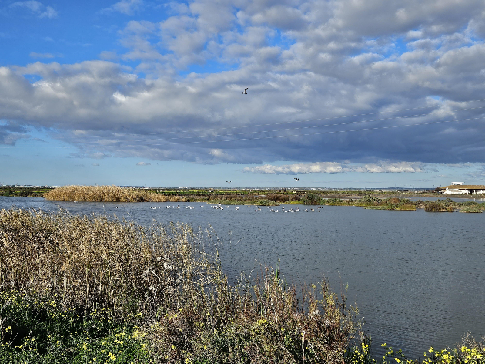 Sendero Parque Natural Chiclana