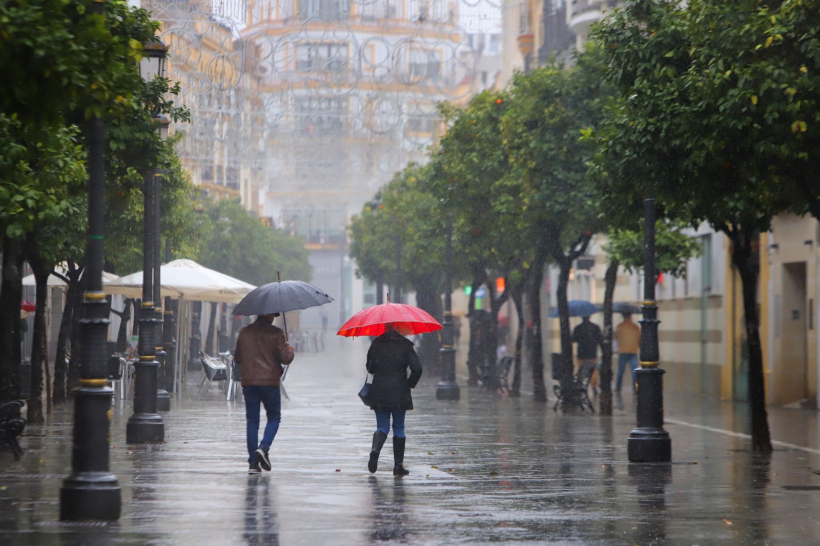 Jerez, azotada por el temporal de lluvia y frío.