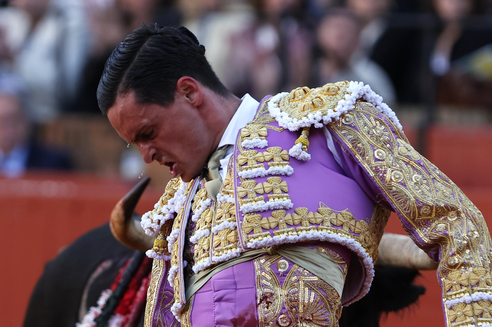 Las Imágenes del festejo