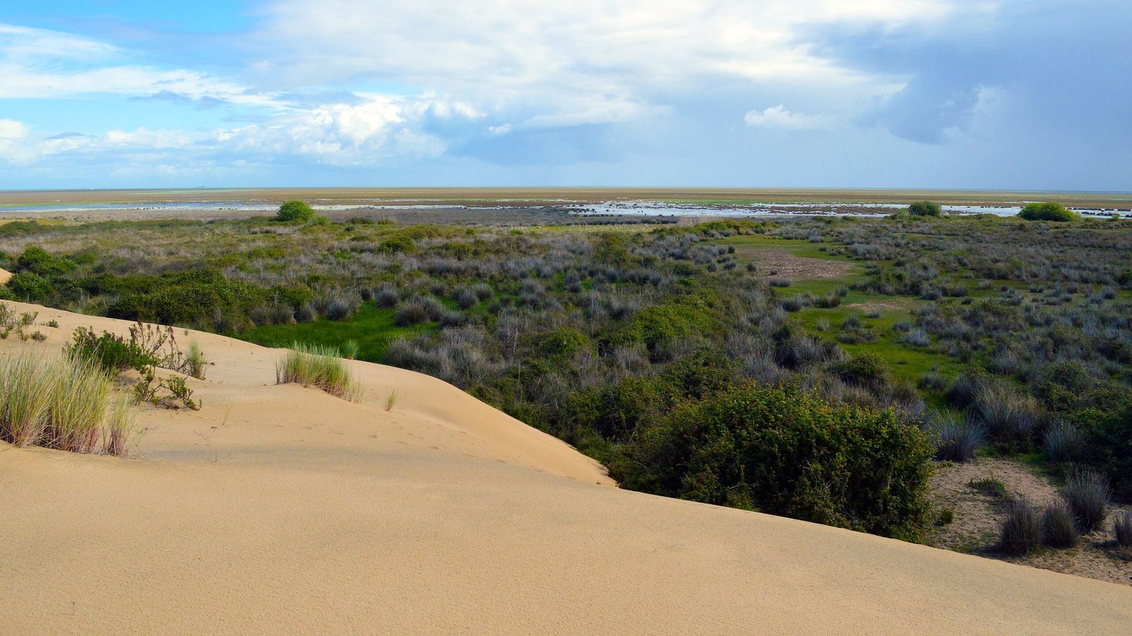 Parque Nacional y Natural de Doñana.