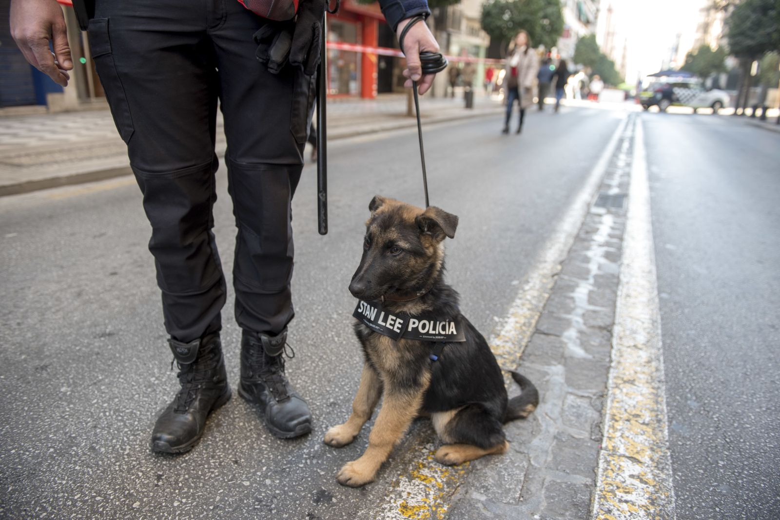 Las imágenes del Día sin coches