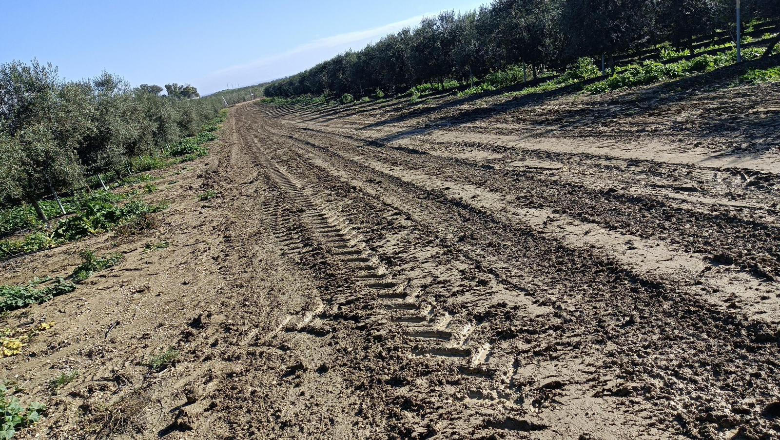 Si llueve, habrá muchísimo barro por esta zona.