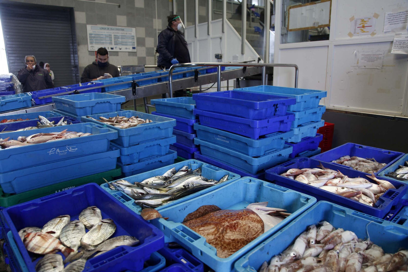 Pescado para la venta en la lonja de Isla Cristina.