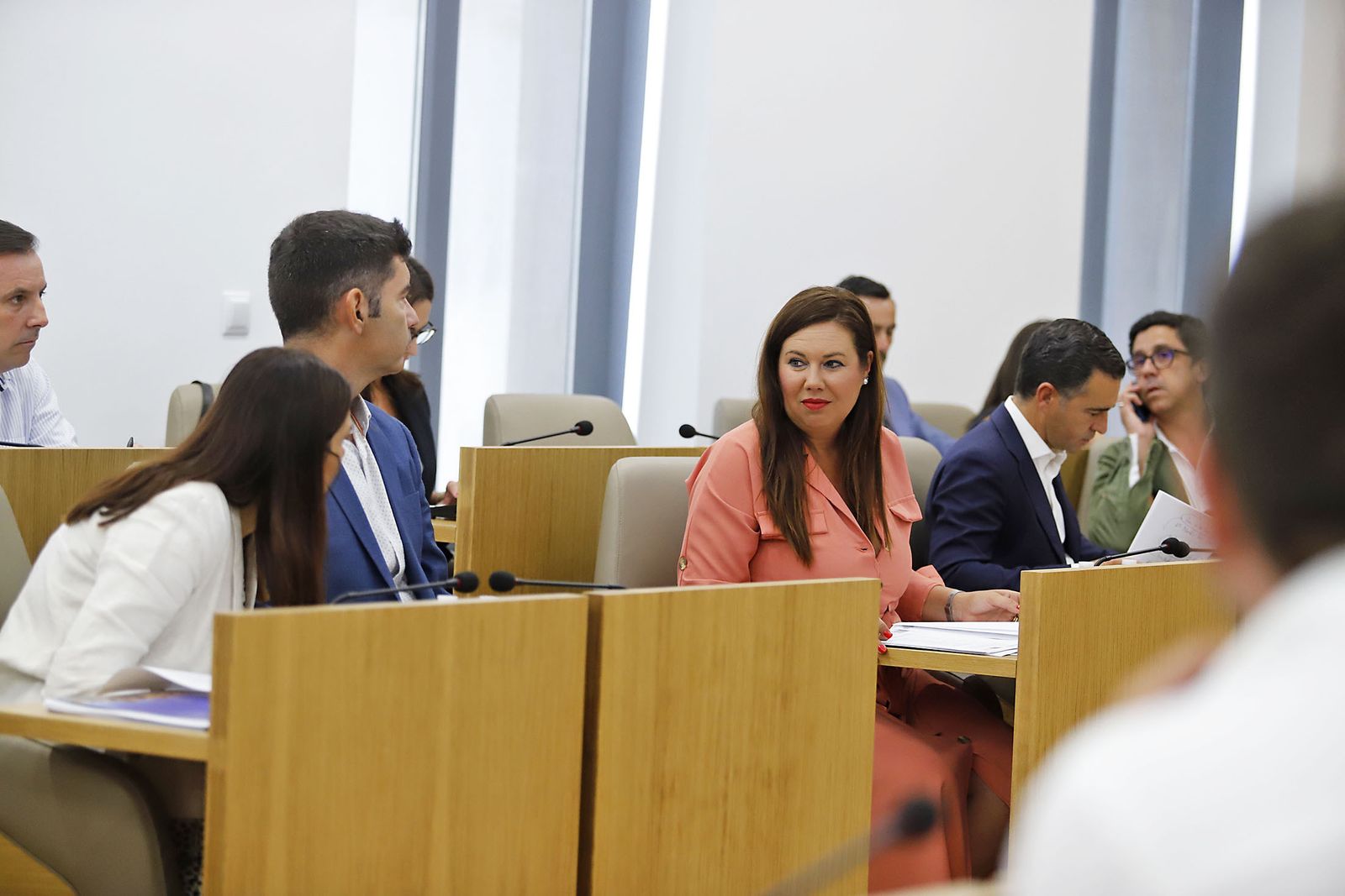 Imágenes del Pleno Extraordinario en la Diputación