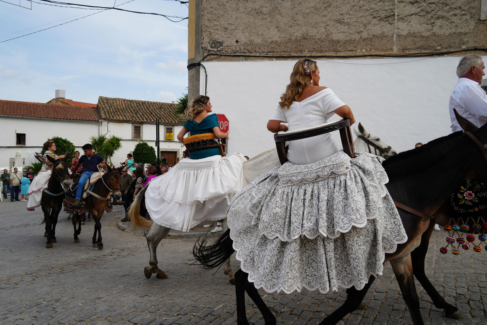 Las mejores imágenes de la Fiesta de los Piostros de Pedroche, la mayor concentración equina de Andalucía