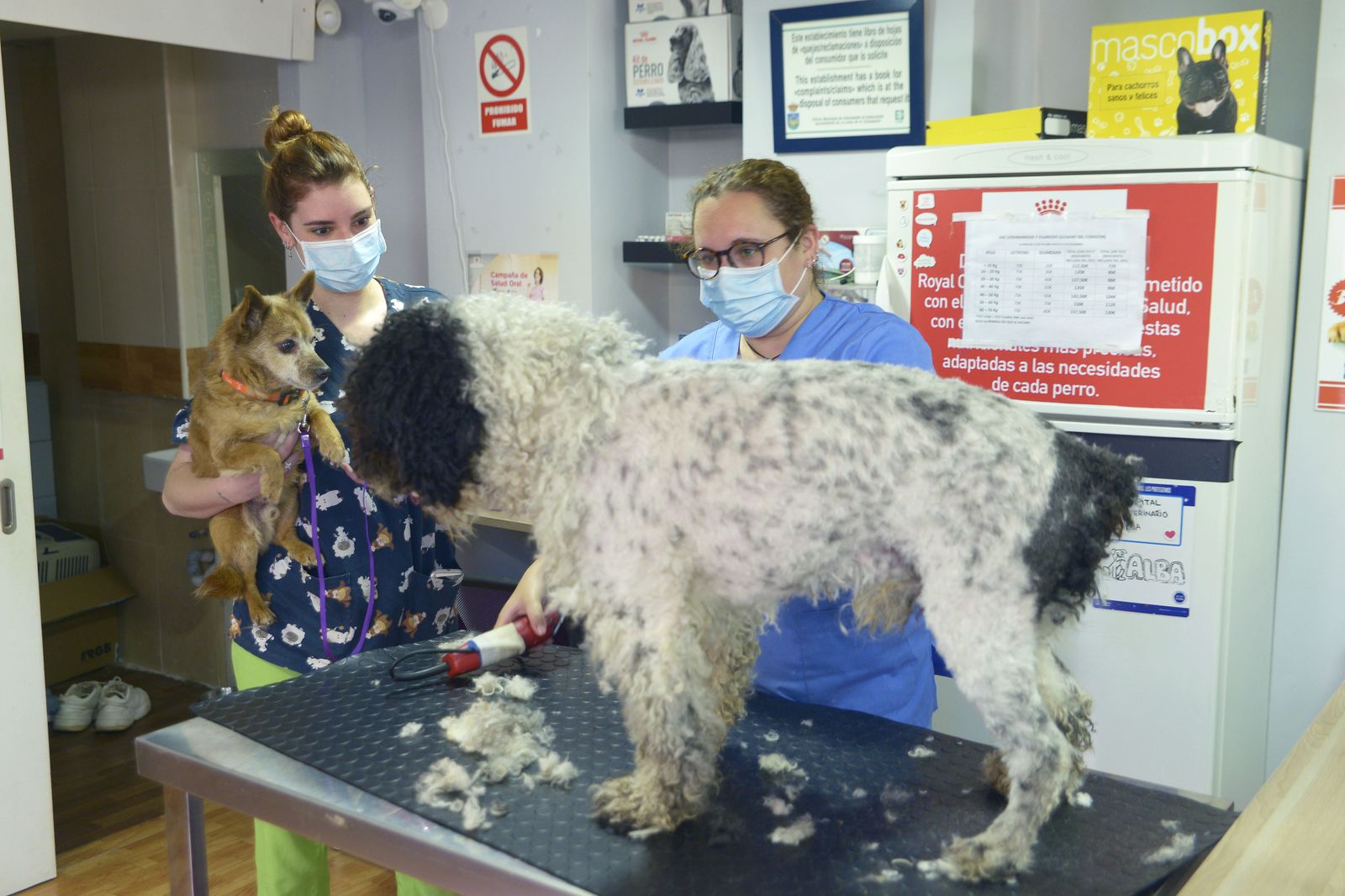 Fotos de gente con mascarillas en La Linea