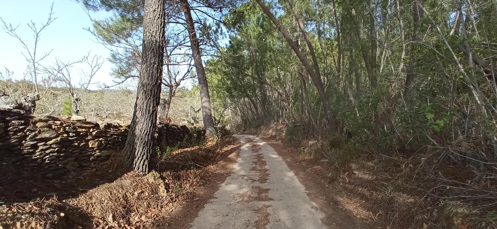 Las imágenes de la ruta de la Dehesa de Valdelama: De Los Marines a Fuenteheridos y vuelta