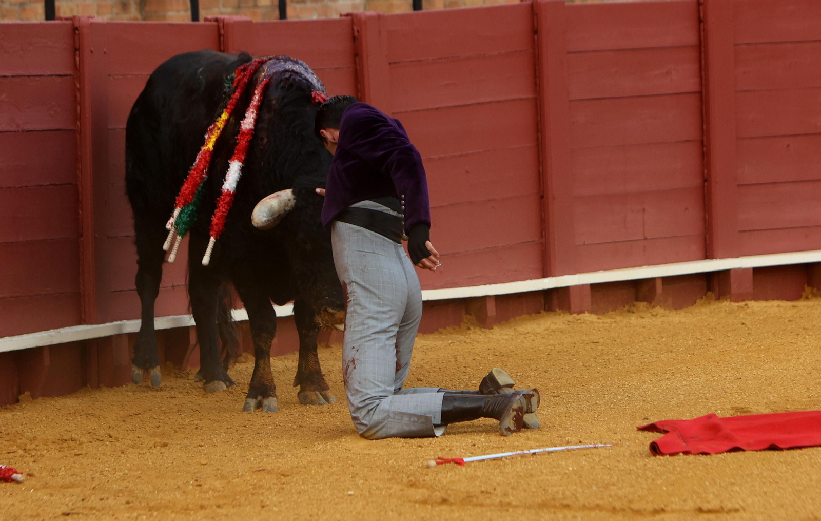 Fotos del Festival taurino a beneficio de l de la Hermandad del Rocío de Triana y de la Fundación Alalá