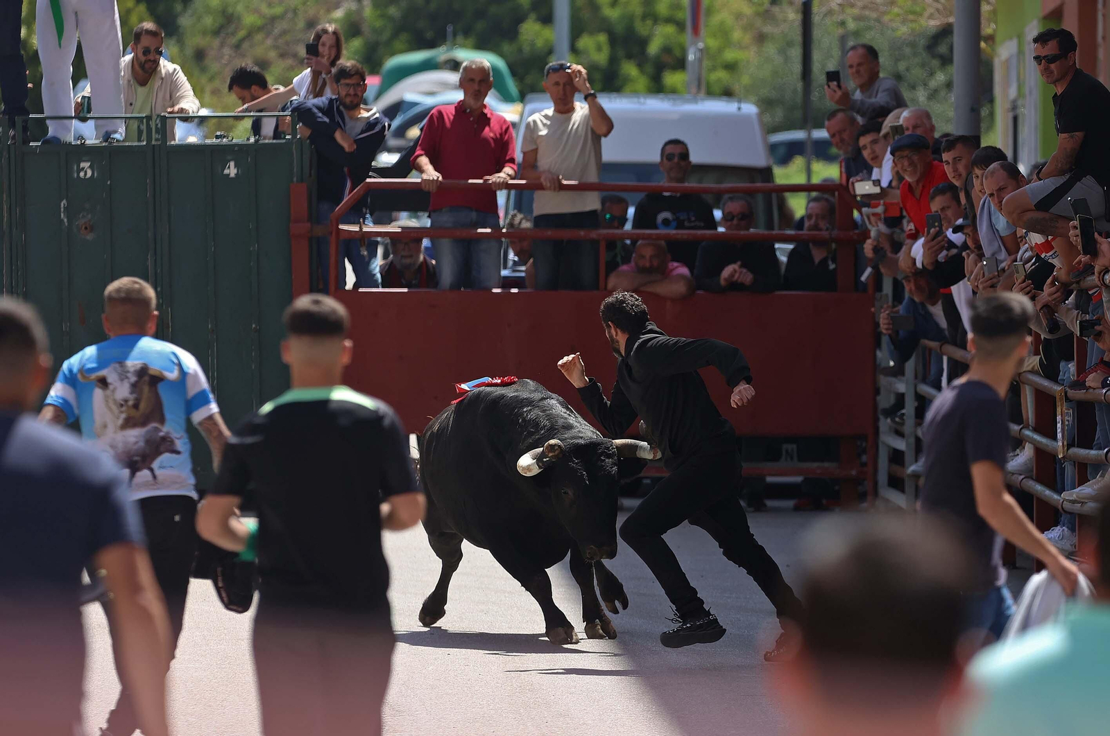 Las mejores fotos del Toro Embolao de Los Barrios 2024