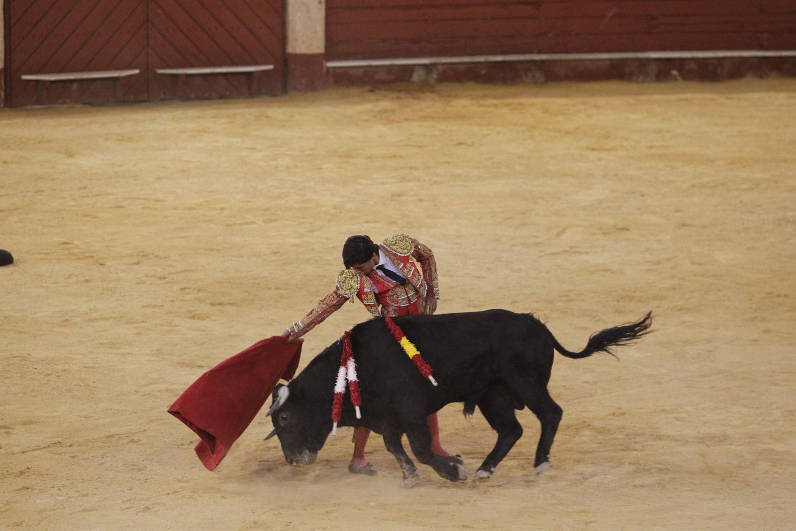 Fotogalería novillada Escuela Taurina de Almería. Feria de Almería 2019