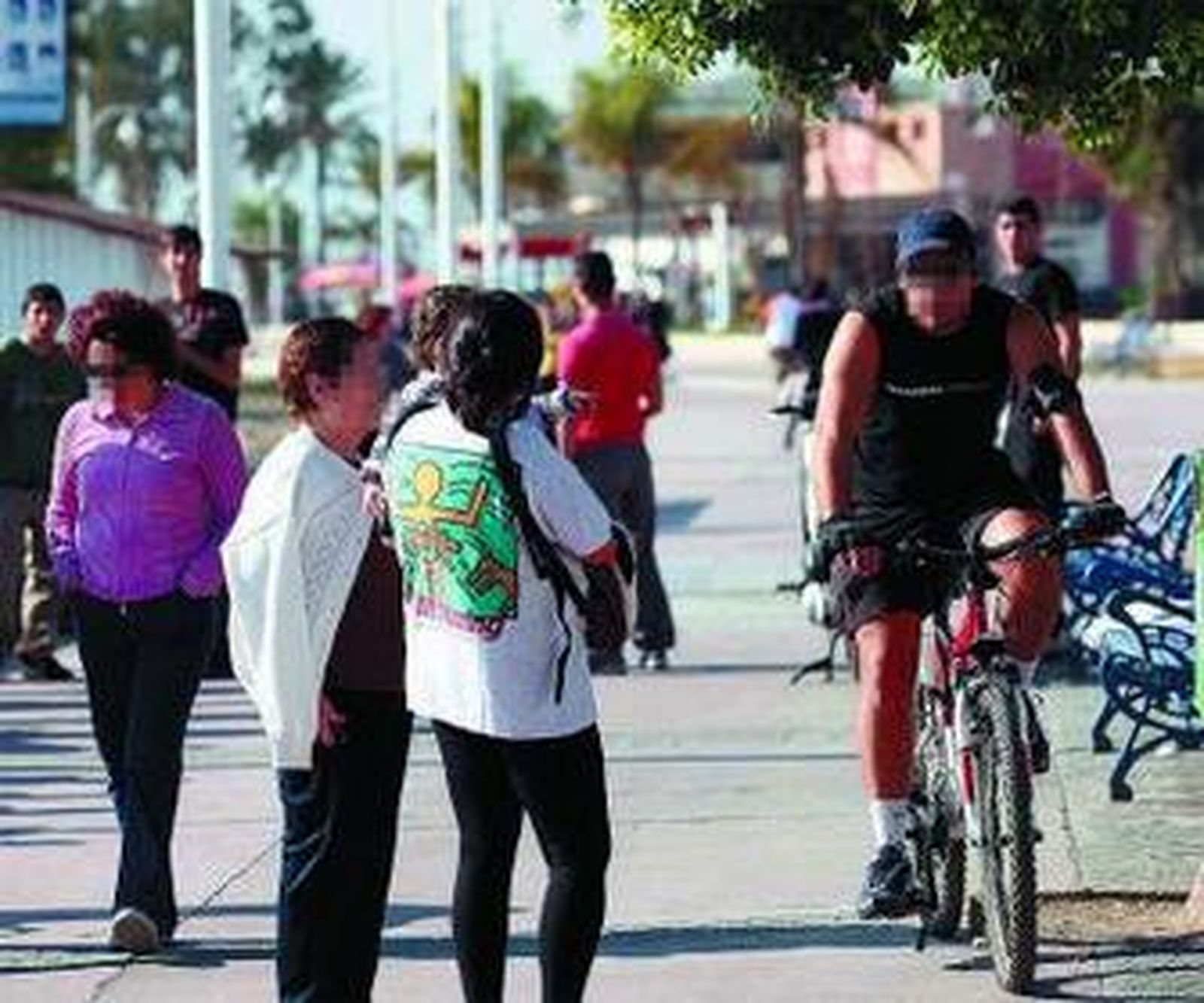 Paseo marítimo El Pedregal, donde se produjo la intervención.