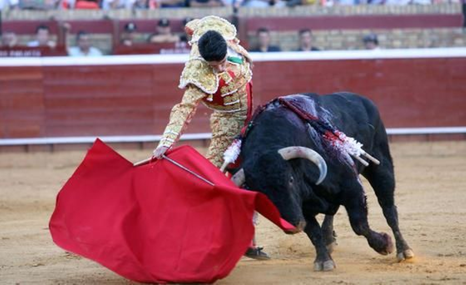 El Juli y Talavante se dan cita en la Merced en una tarde triunfal para ambos.

Foto: Espinola
