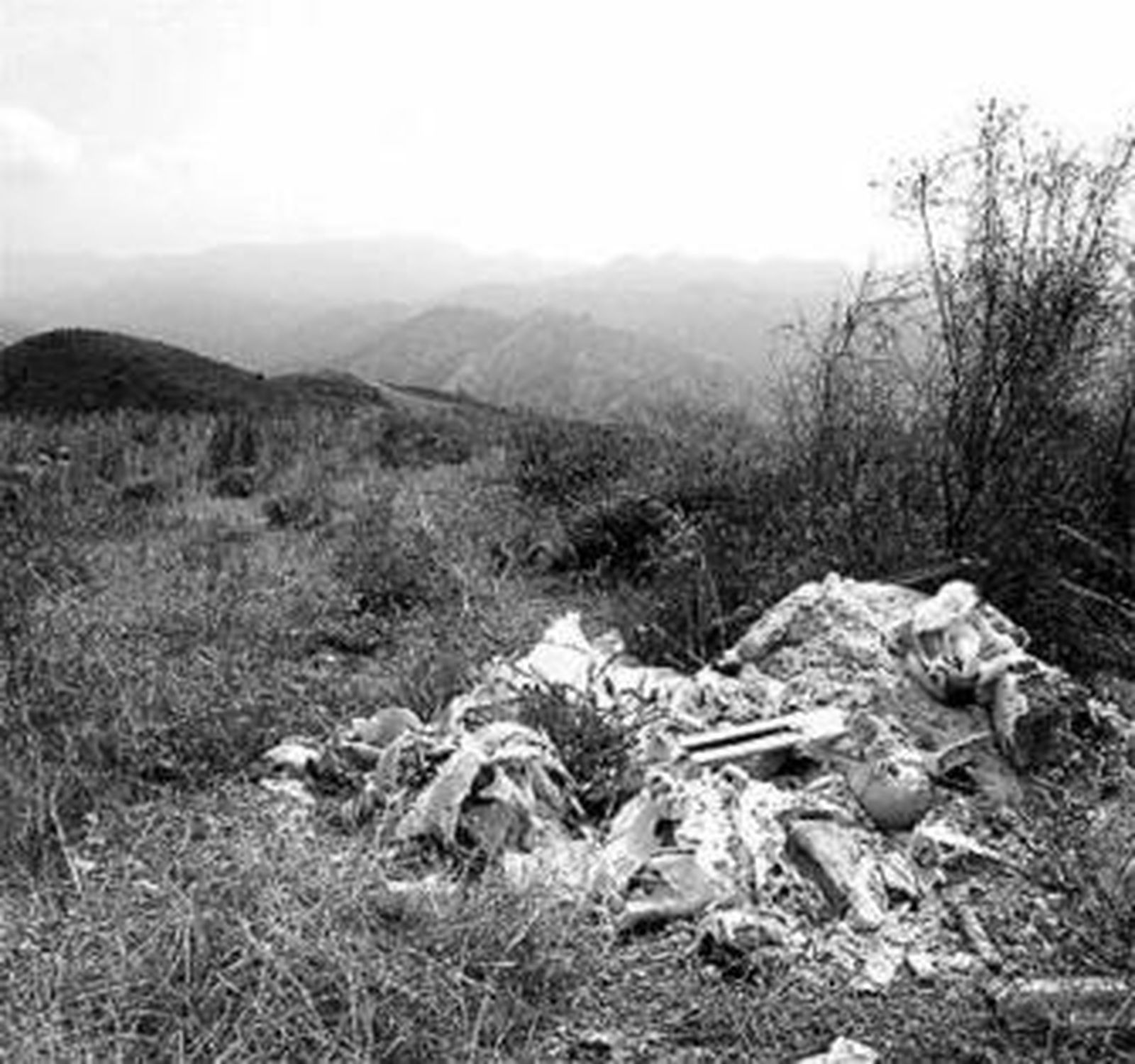Restos de escombros en el Parque Forestal del Guadalmedina.