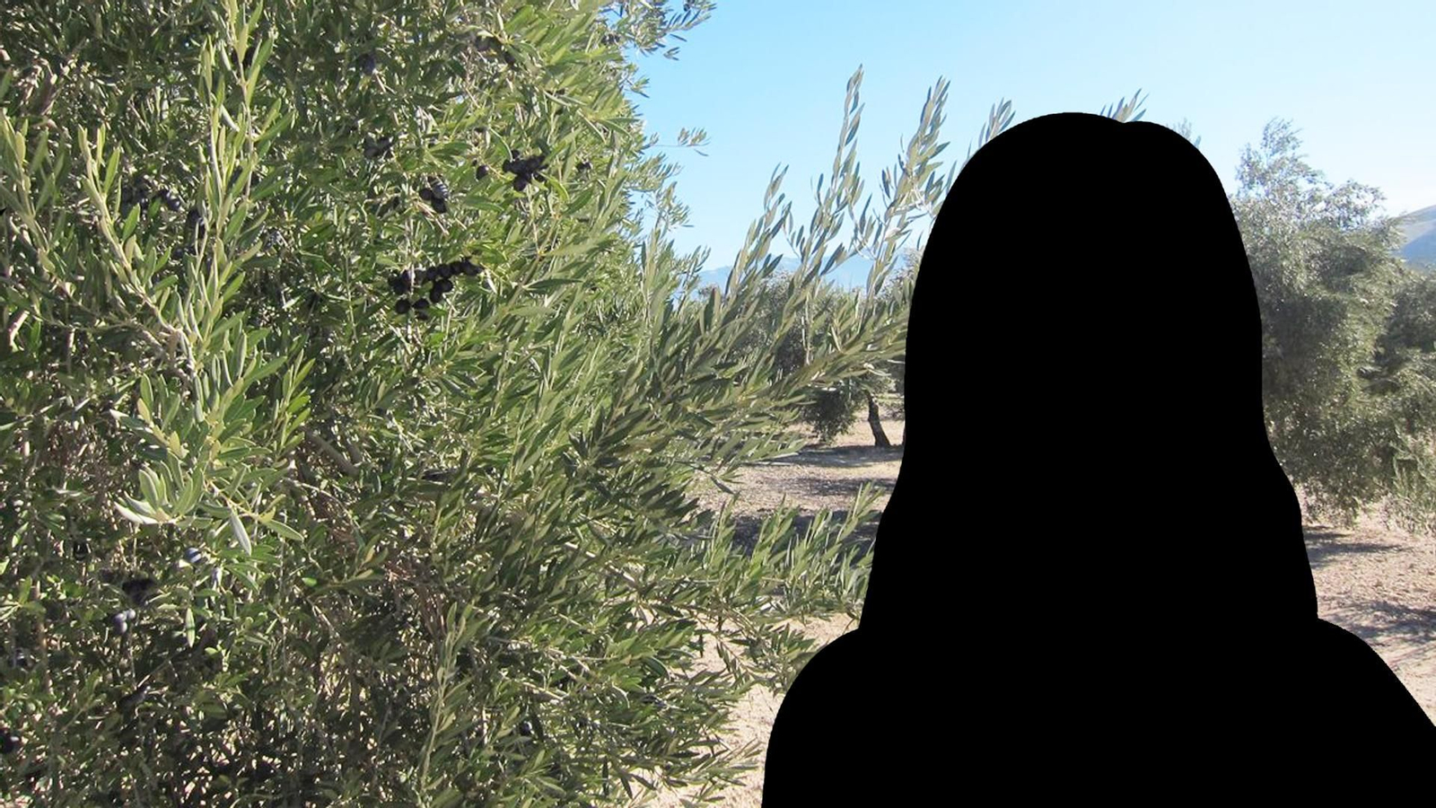 El cadáver de la mujer se encontró en 2008 en un olivar de Baeza junto a la A-316