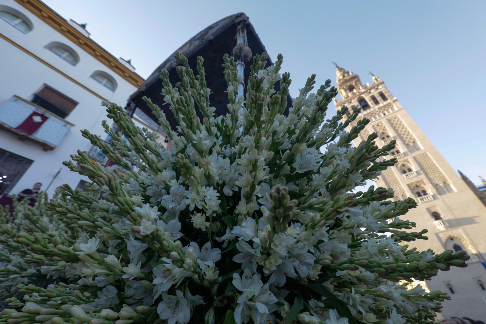 Procesión de la Virgen de los Reyes, Sevilla
