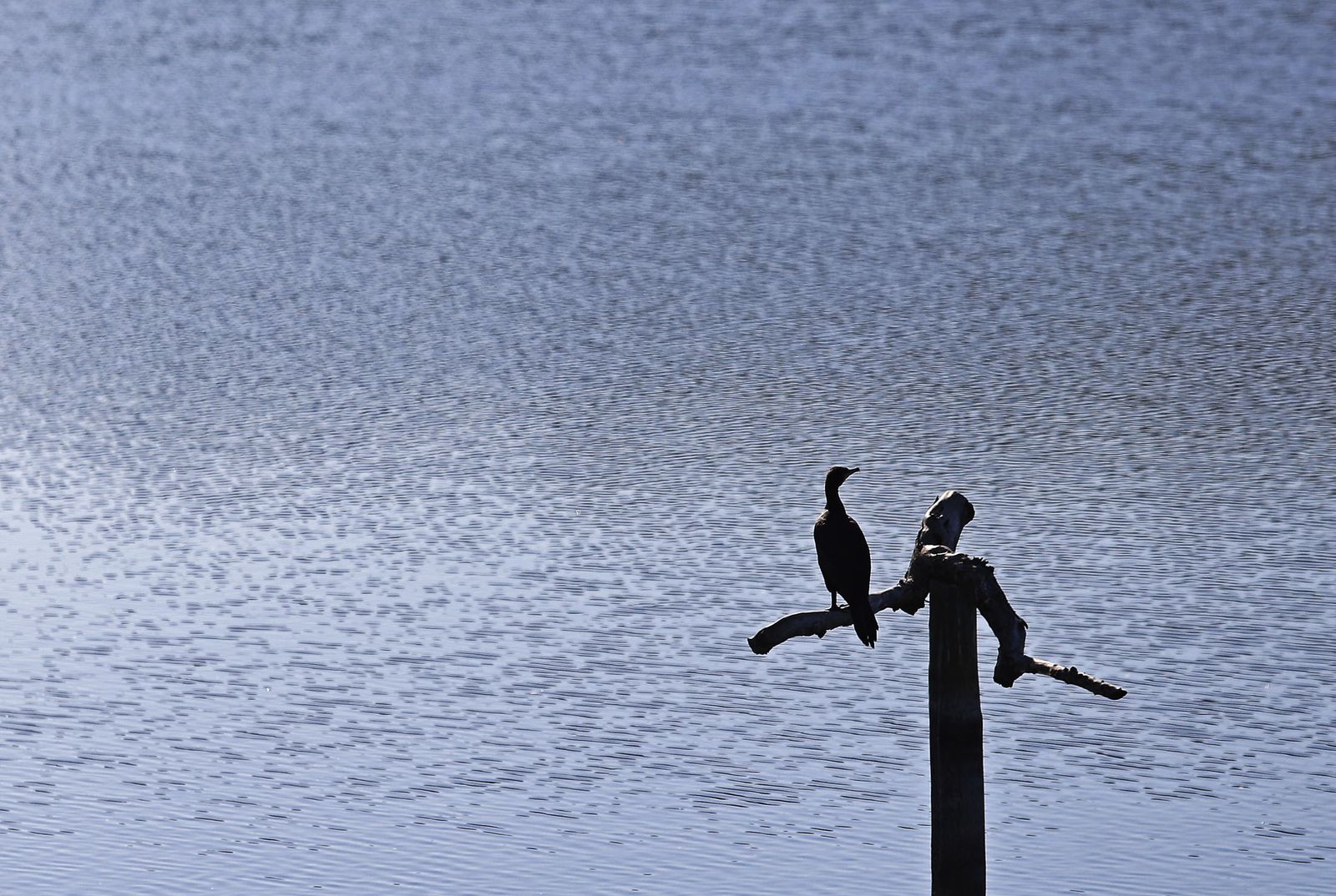 Las imágenes más destacadas del lunes 25 de septiembre en Huelva