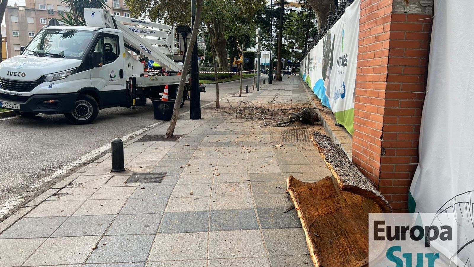 Retirada de los últimos árboles en mal estado en el parque María Cristina