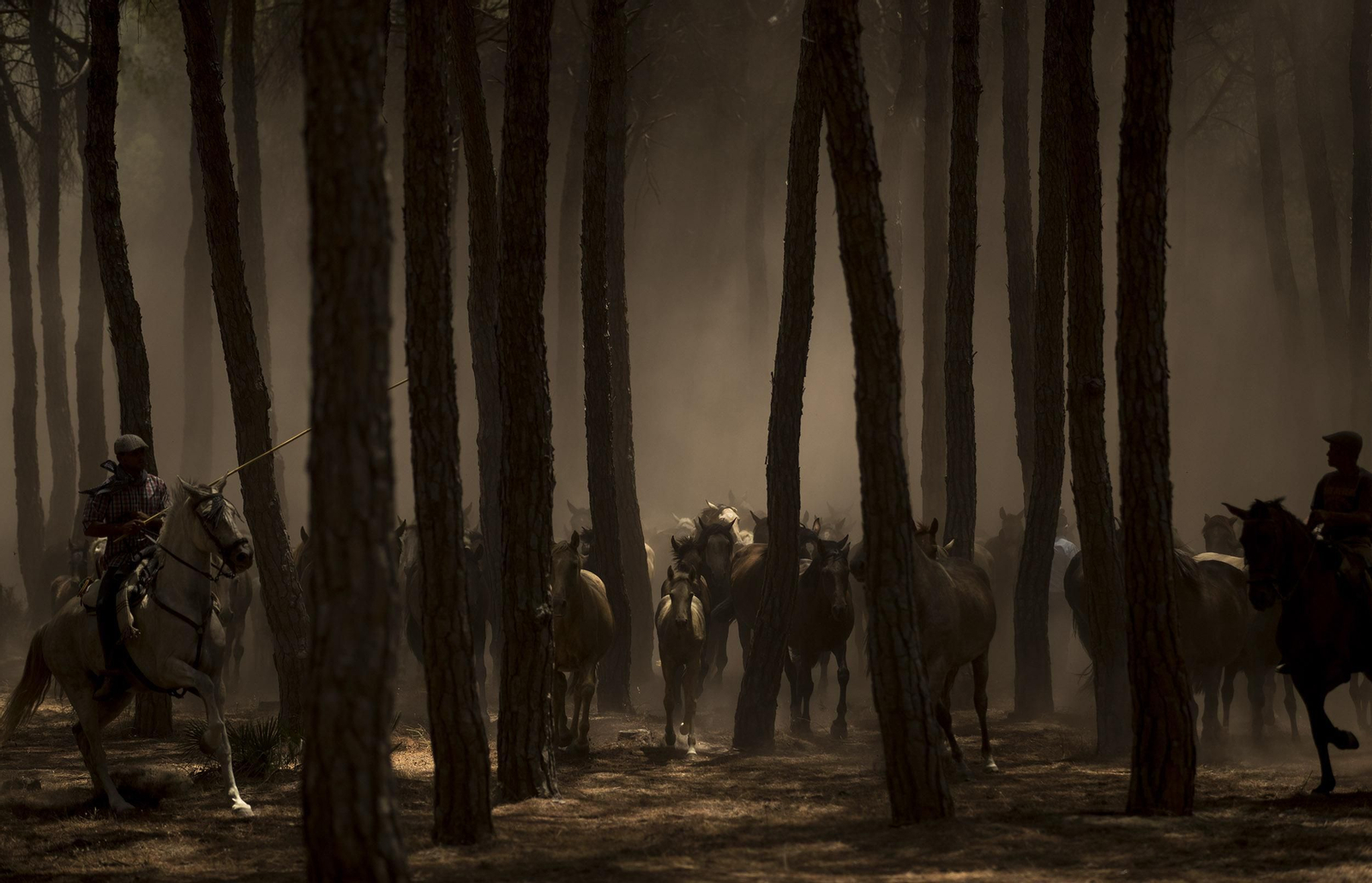 La Saca de las Yeguas, en imágenes