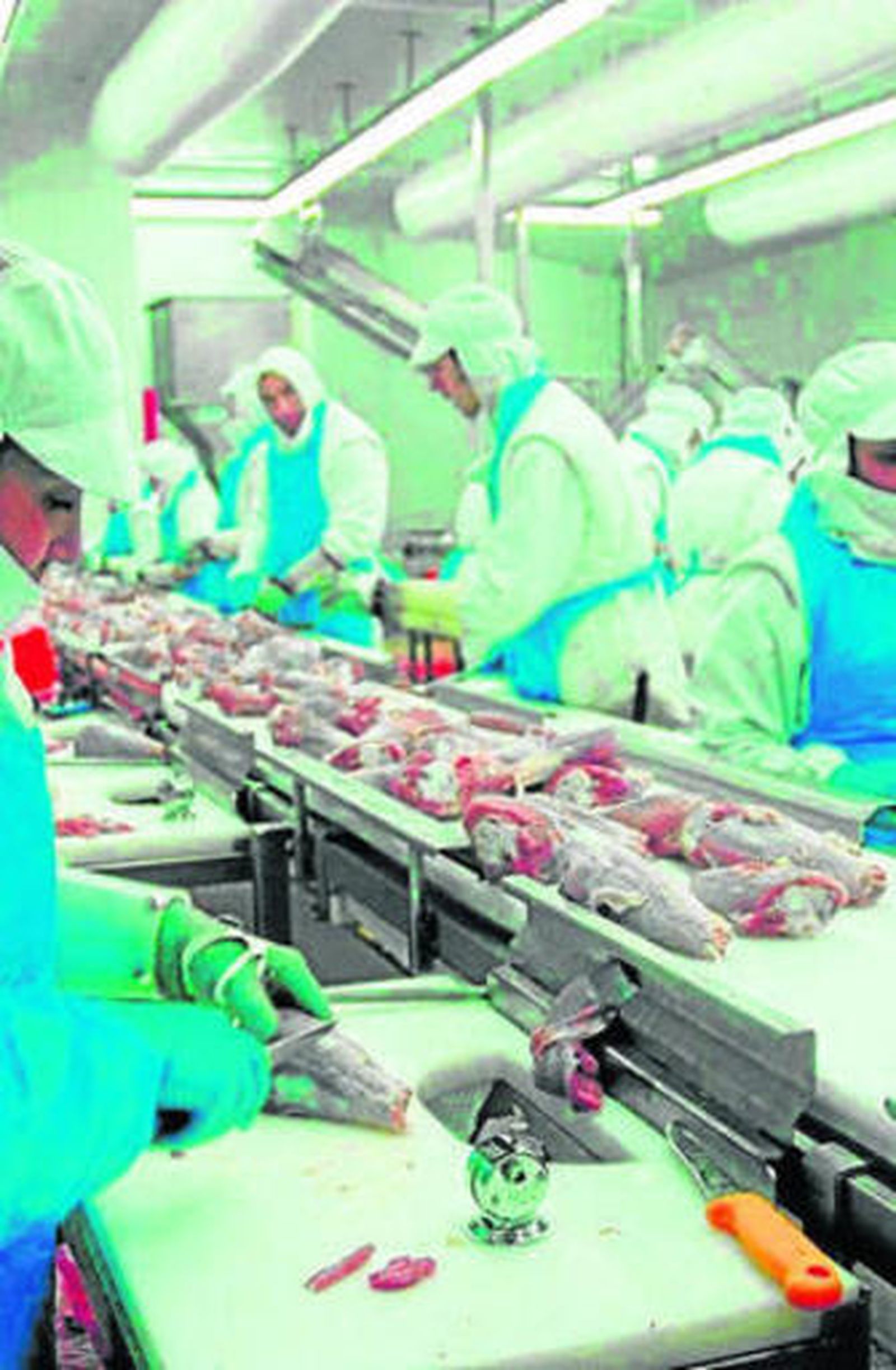 Trabajadores de la sala de despiece de Procavi en Marchena.