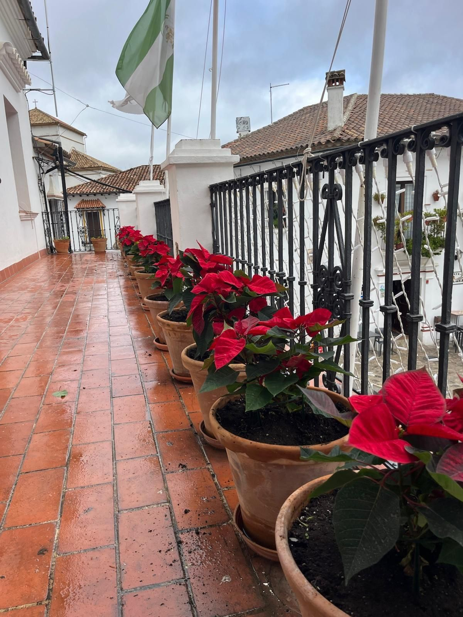 Decoración navideña Grazalema