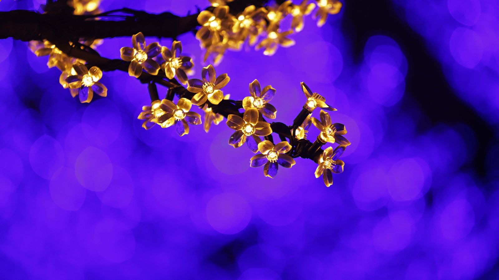 Fotos del encendido del alumbrado navideño en Algeciras