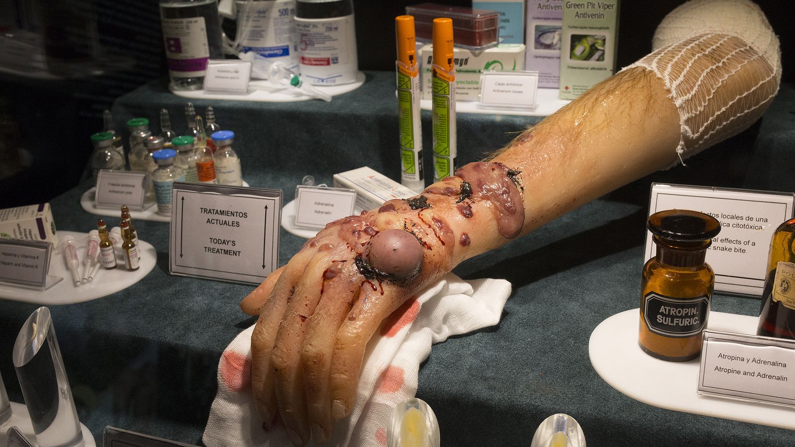 Una imagen de la muestra 'Veneno'.