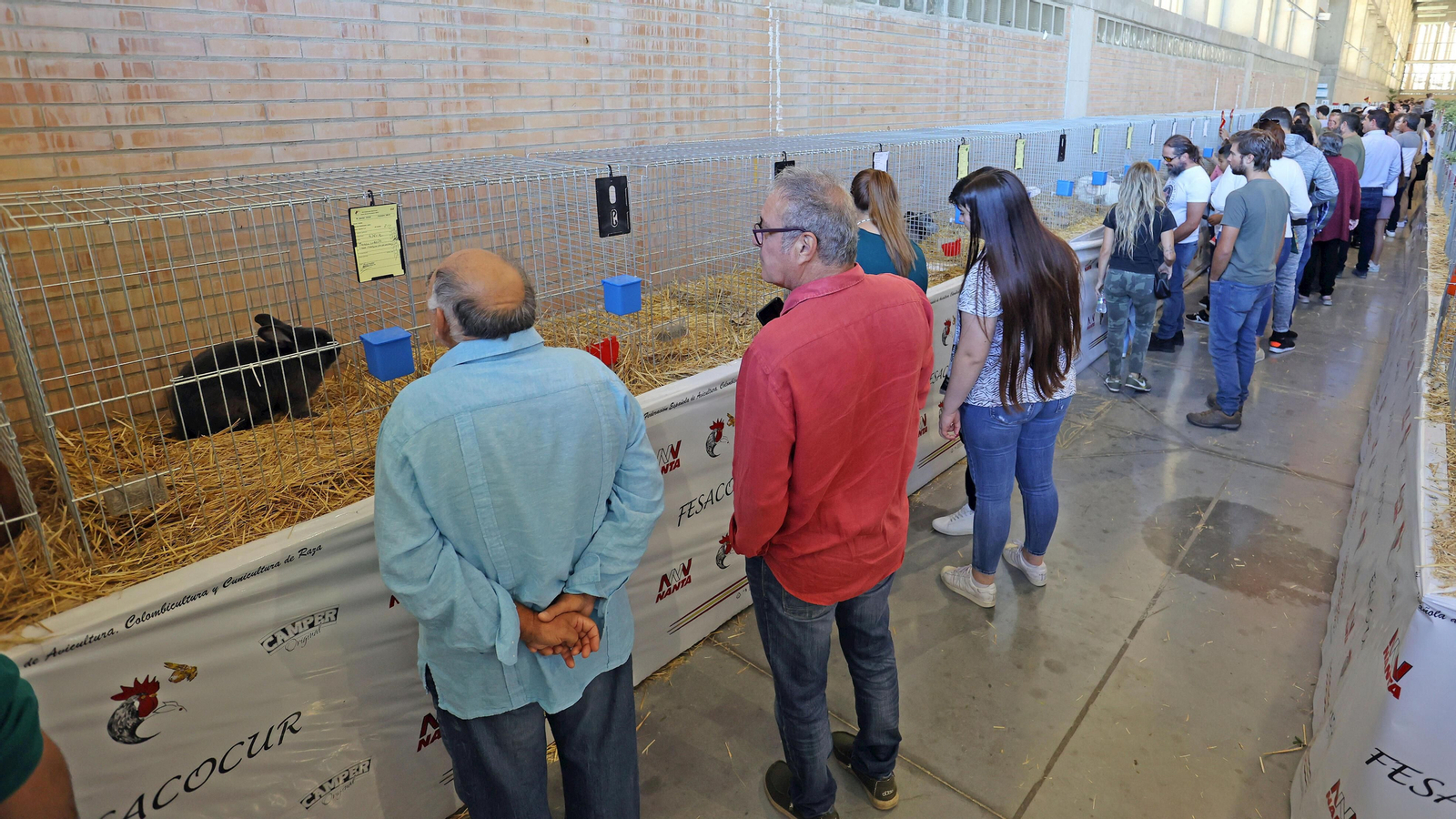 Gran afluencia de público en la clausura de Fegasur