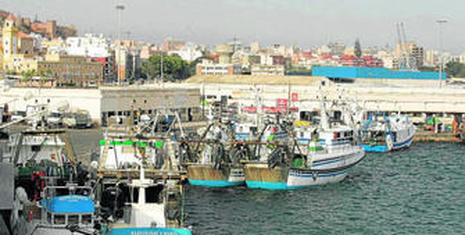 Flota pesquera amarrada en el puerto de la capital almeriense.