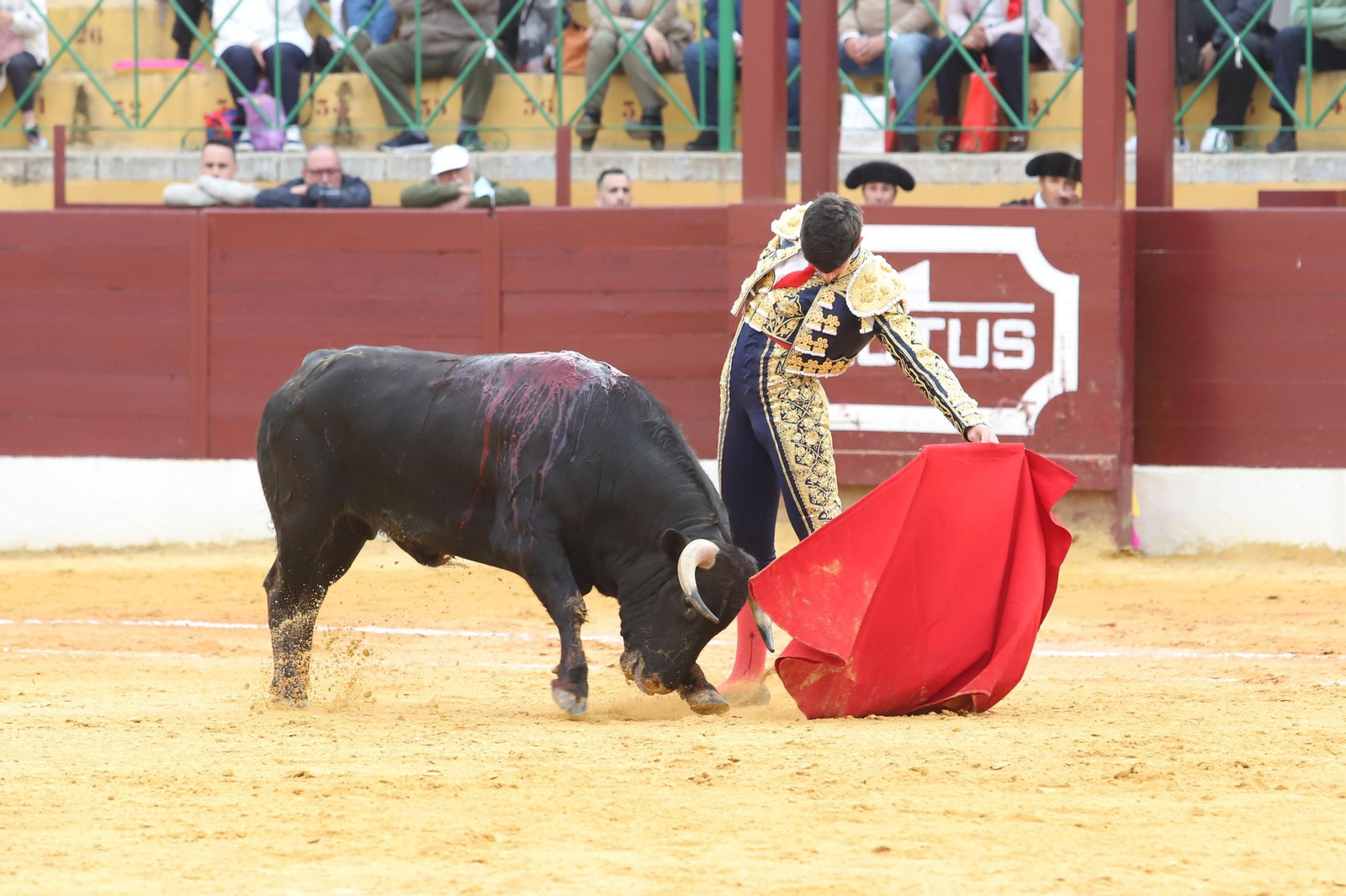 Imágenes de la novillada previa a la Semana Santa en la plaza de toros de La Línea