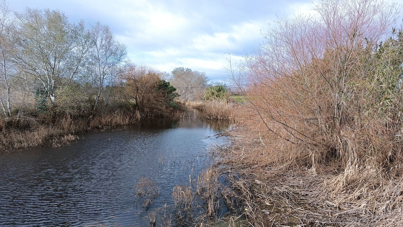 Aspecto de la rivera con las últimas lluvias de invierno.