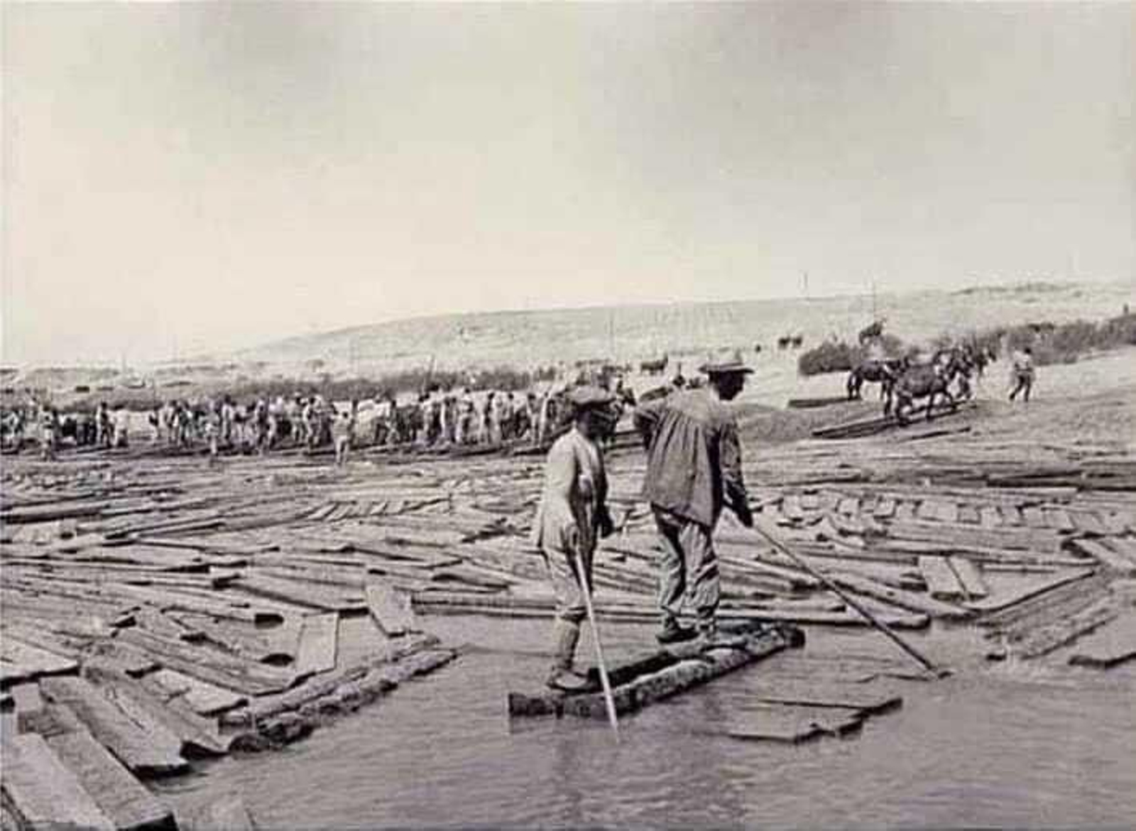 Así trabajaban los pineros de Segura.