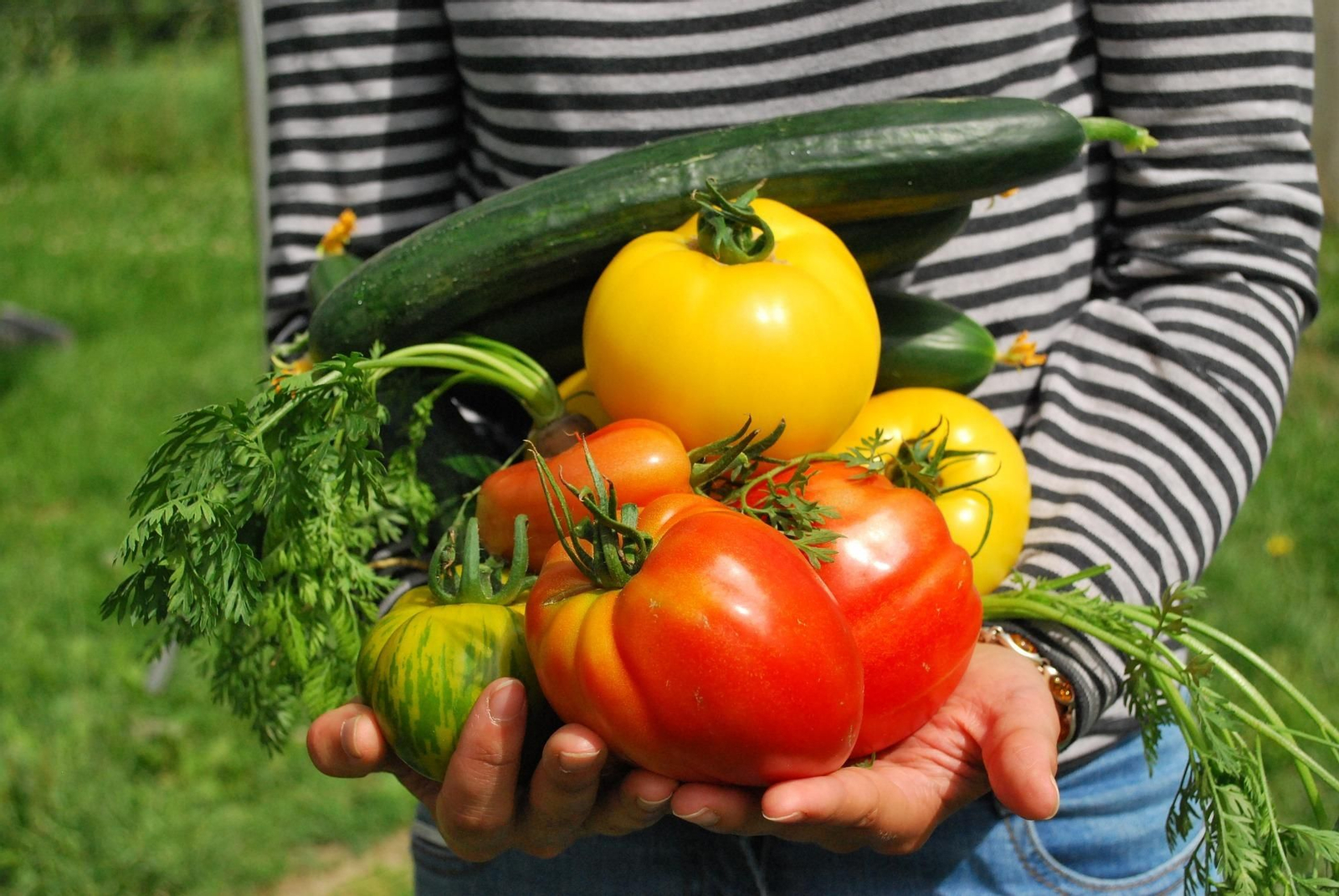 Frutas y verduras cultivadas en un huerto ecológico