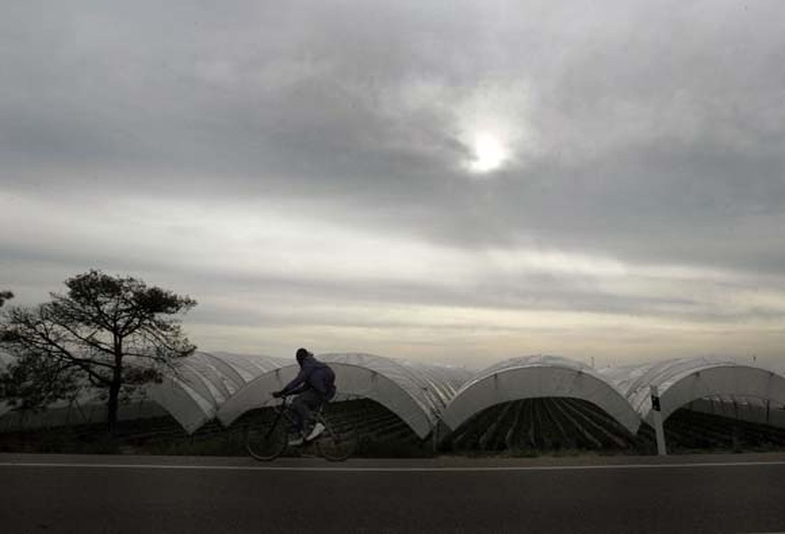 Entre Mazagón y Palos se extiende un mar blanco que oculta los campos de fresa, que oculta el lugar de ninguna parte de los africanos derrotados

Foto: Fito Carreto