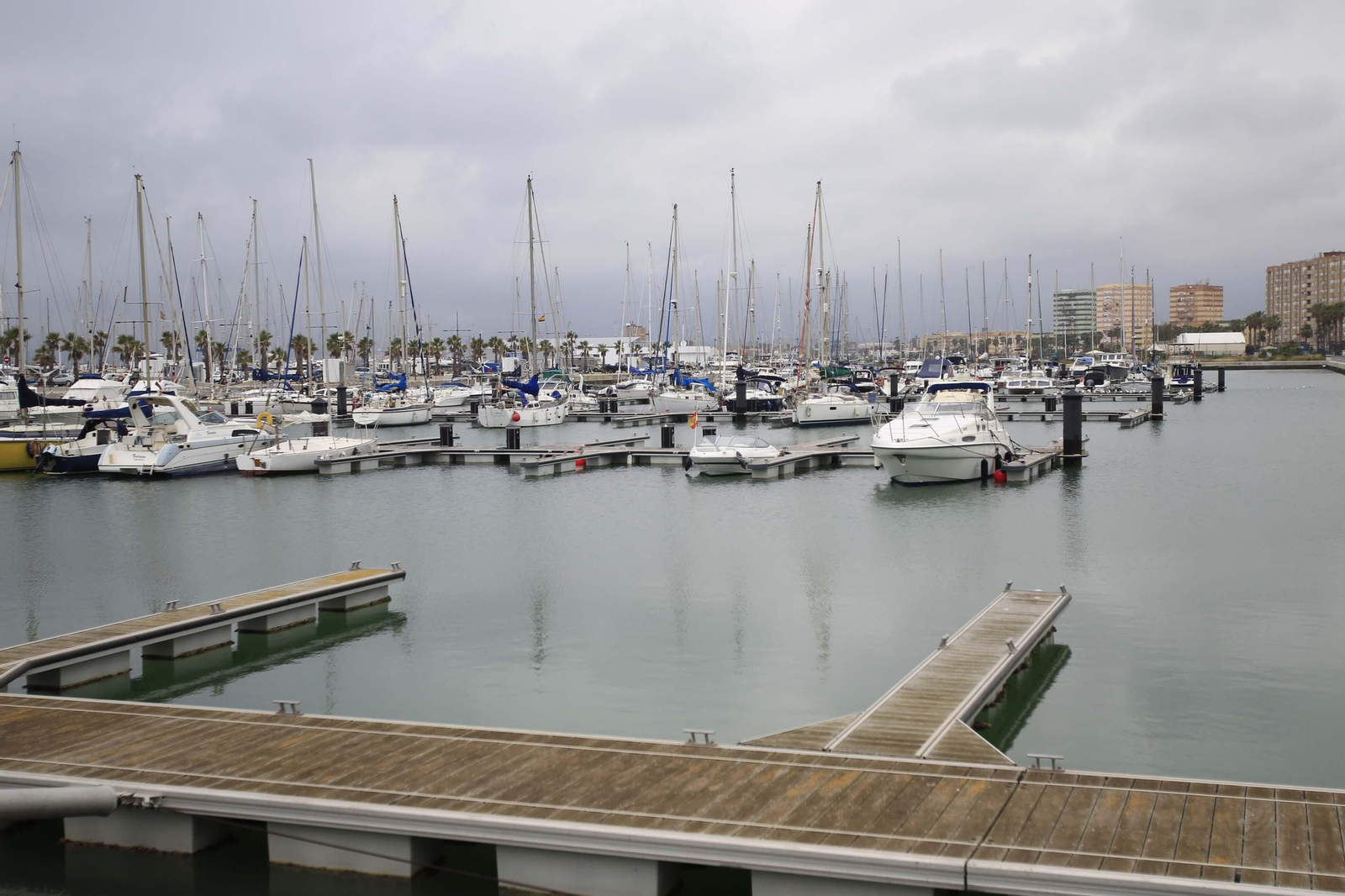 Embarcaciones recreativas atracadas en Alcaidesa Marina, en La Línea.