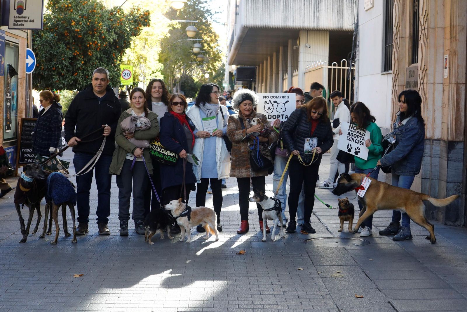 Las mejores imágenes del desfile preadopción de perros y gatos en Córdoba