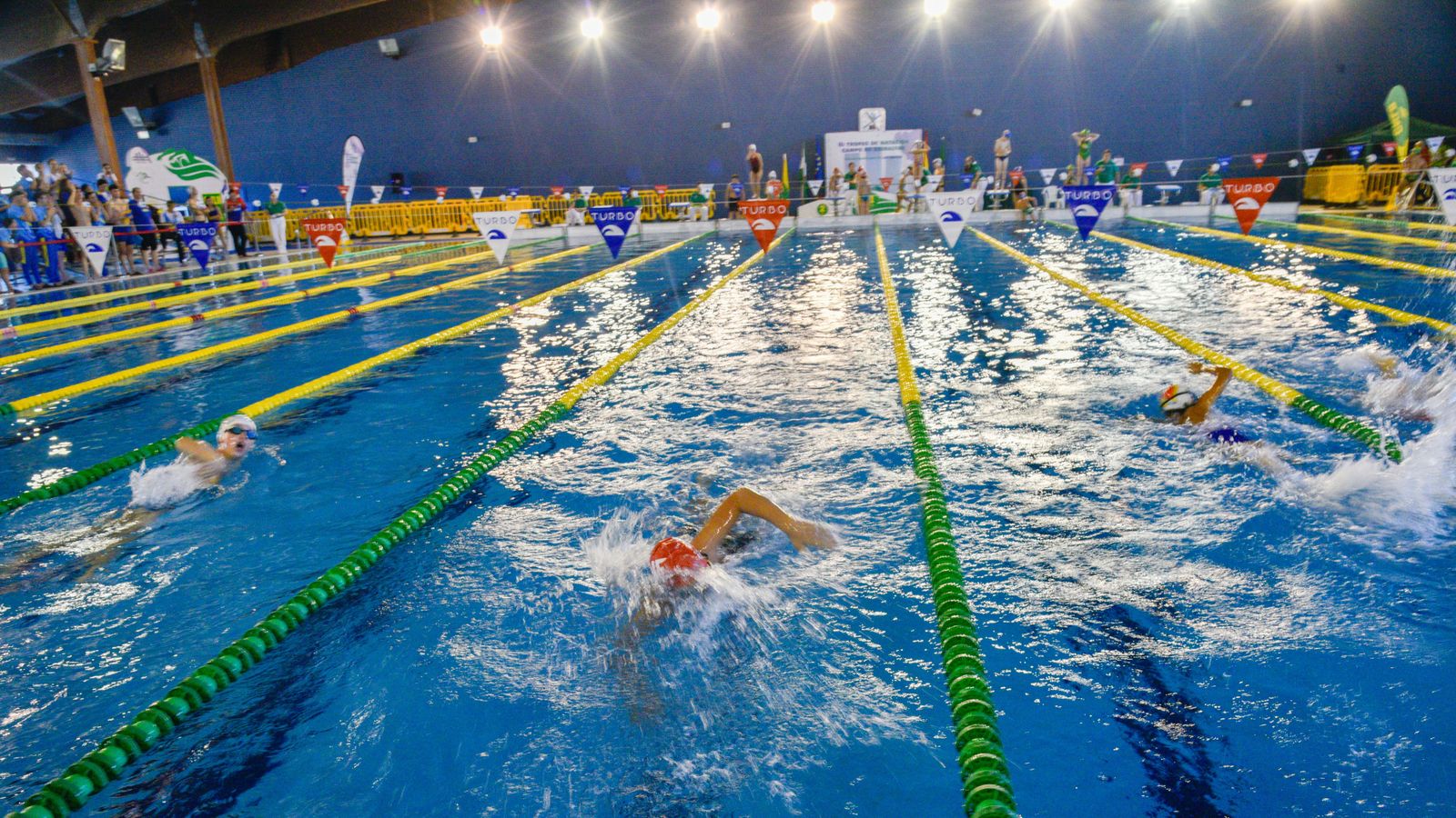 Fotos del Torneo de natación Campo de Gibraltar, en Los Barrios