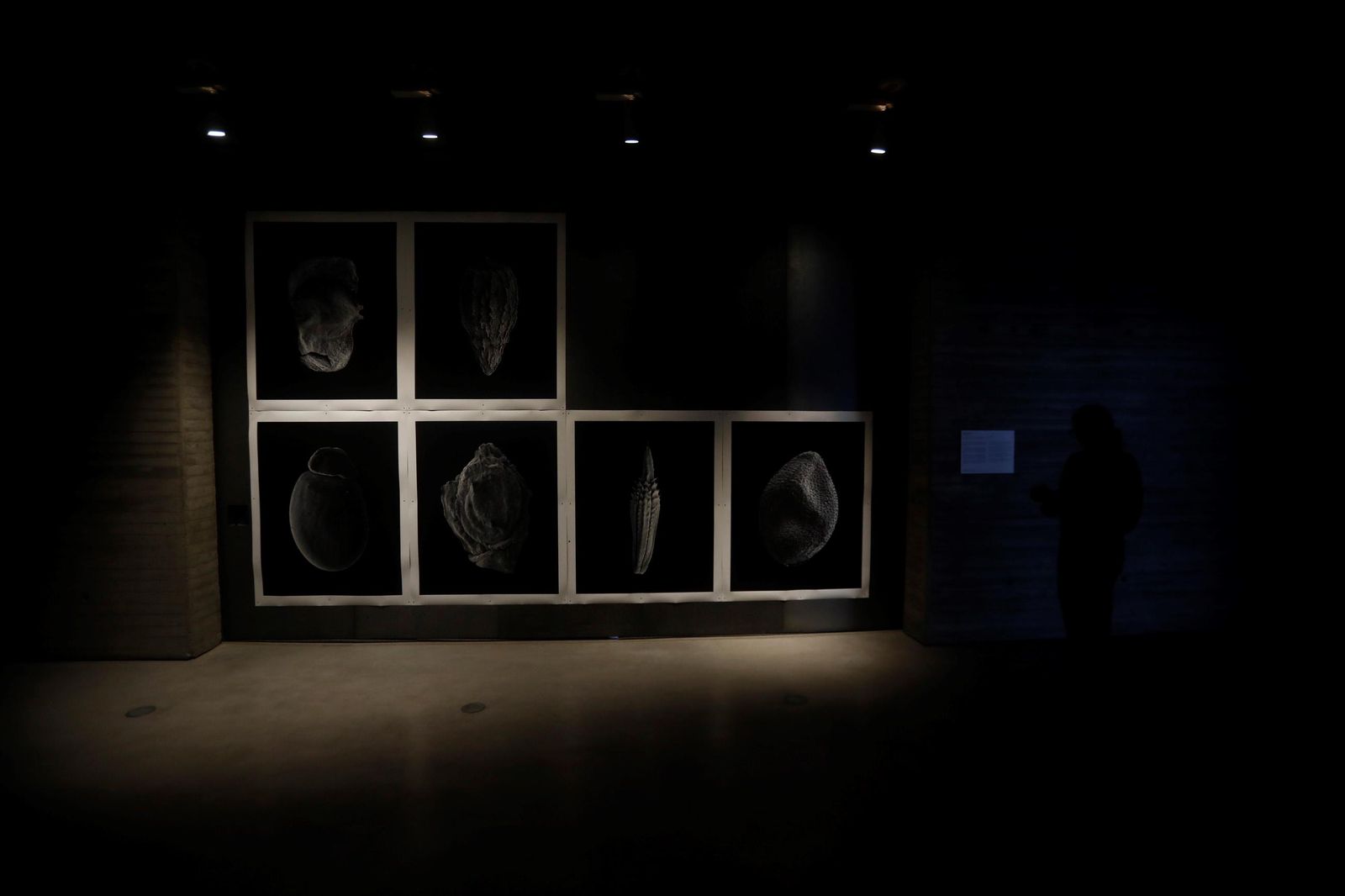 Los artistas residentes del C3A muestran sus obras