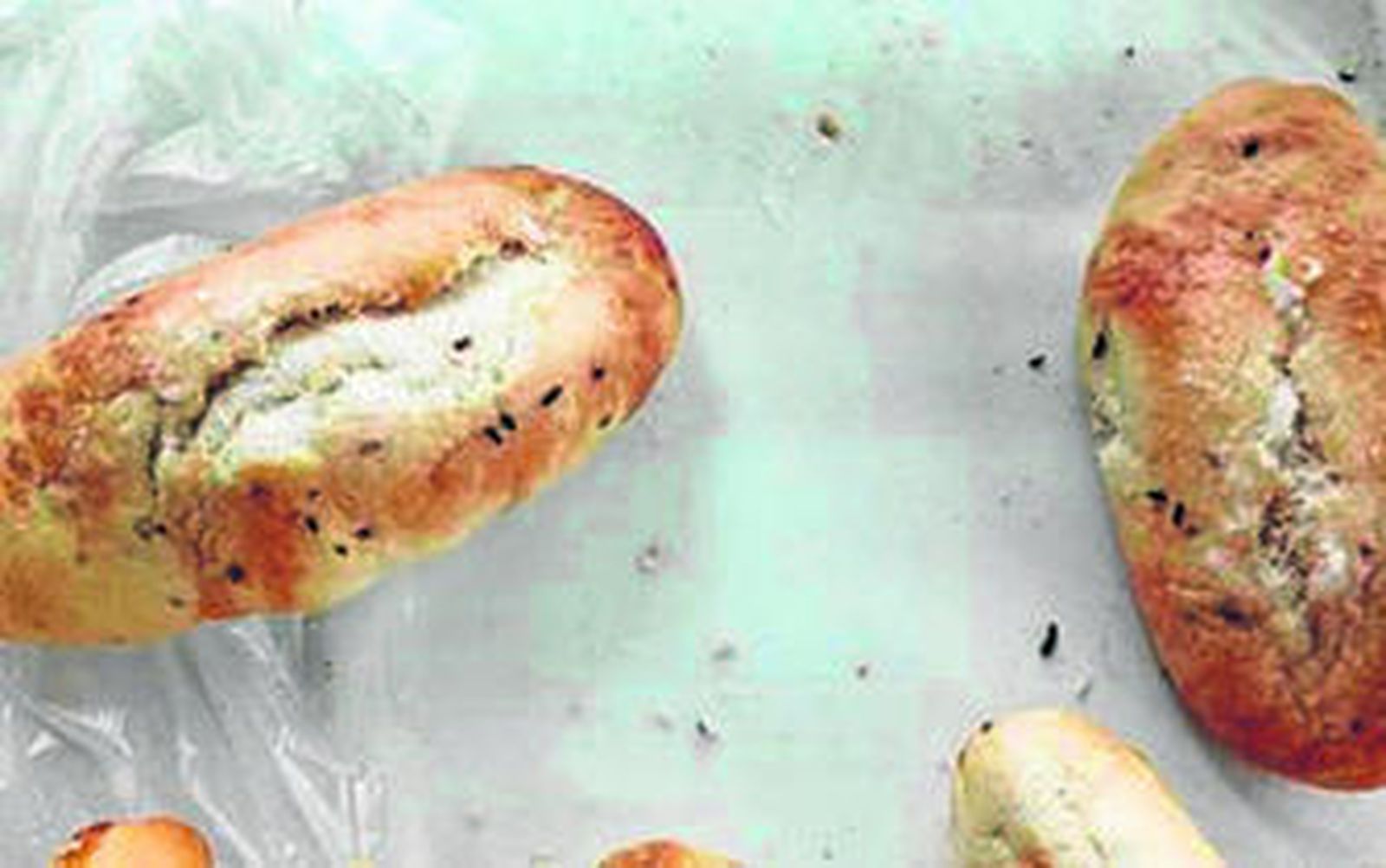 Hallan excrementos de ratón en bollos del desayuno de la cárcel de Albolote