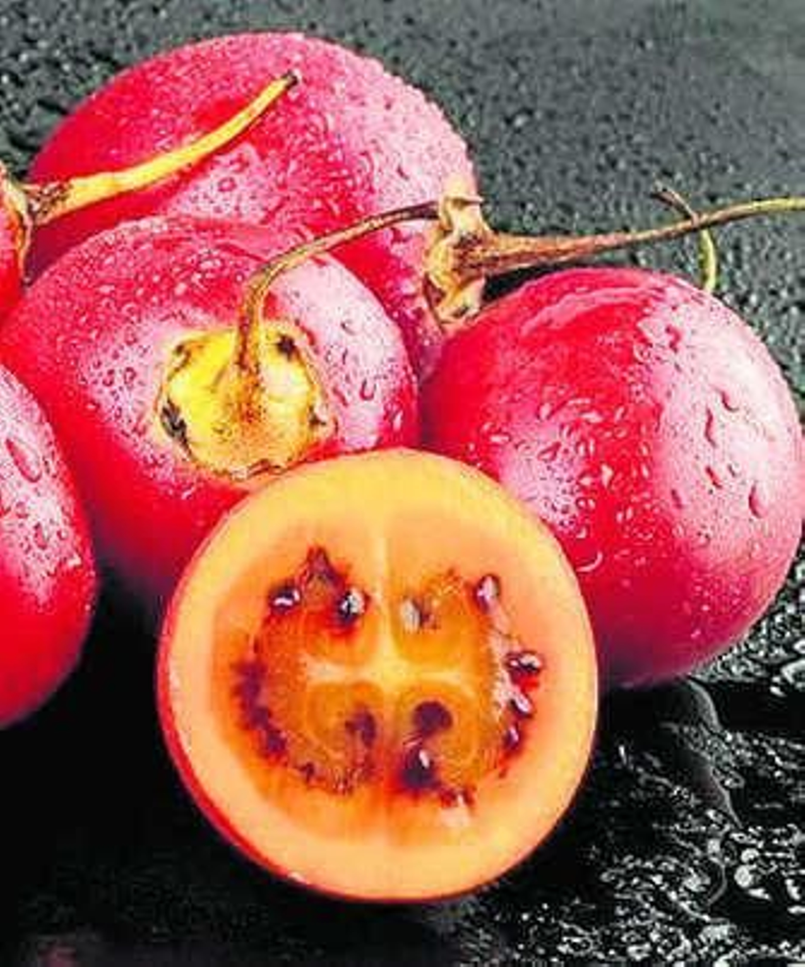 Aspecto del tomate de árbol.