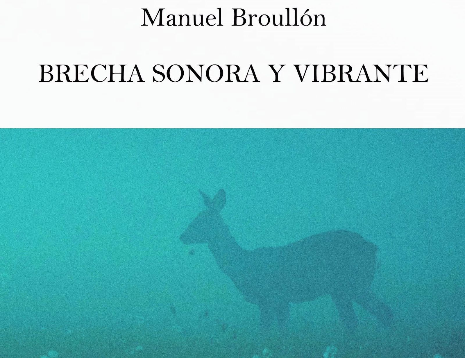 Detalle de la portada del poemario de Manuel Broullón.