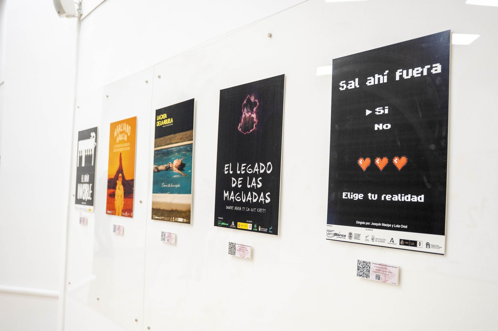 Las imágenes de la exposición "Carteles para un Gallo Pedro"