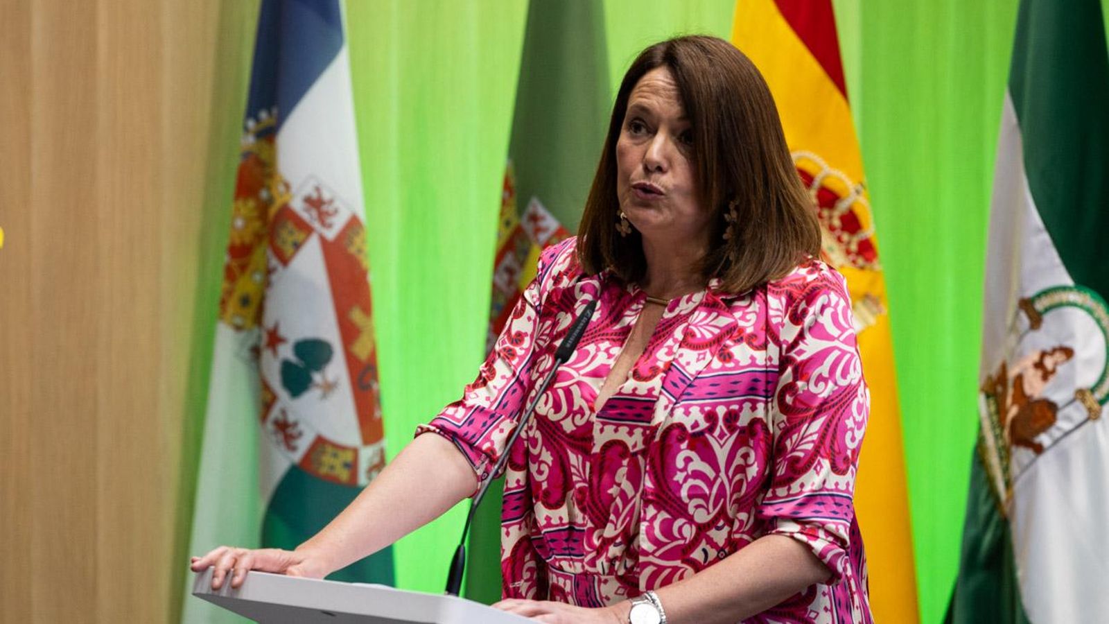 Gala 25º gala de 25 aniversario de Geolit