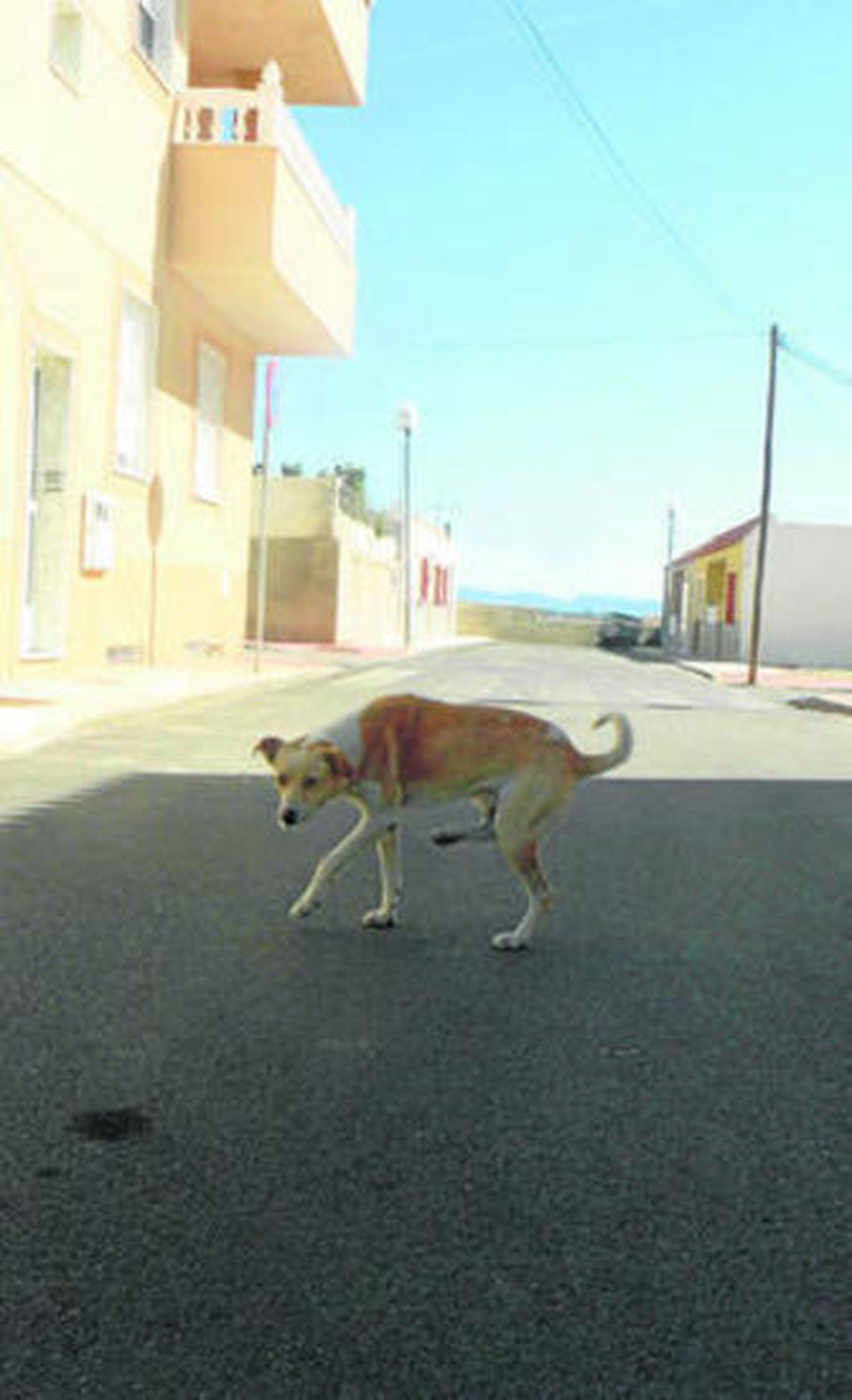 1. La urbanización de las calles concluyó hace tres años sin la colocación de placas y números identificativos 2. Mª del Mar, en su reparto de cartas, se cruza con el presidente de la Asociación Virgen del Carmen 3. La única calle con placa, el resto son soluciones 'caseras' de los residentes.