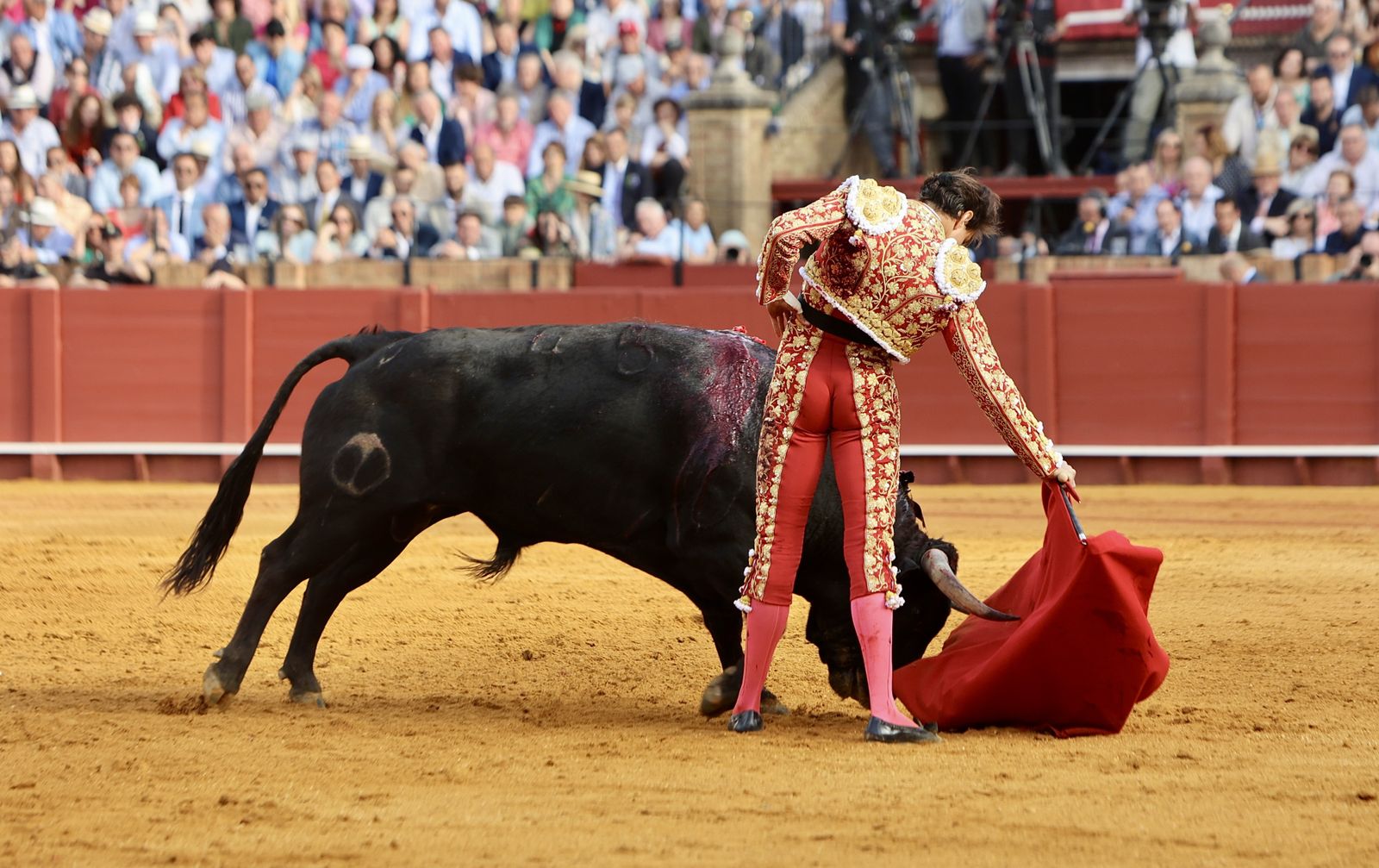 Las mejores imágenes de la corrida de toros de Juan Ortega, Roca Rey y Pablo Aguado